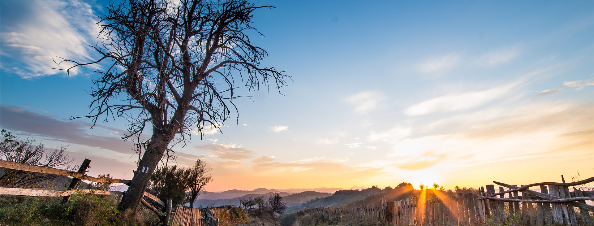 Babí léto v Banátu podle Davida Baštáře