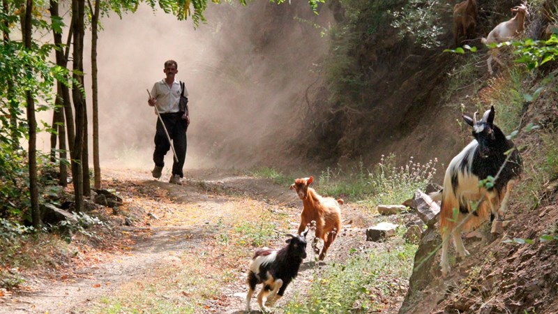 Hory a města severní Albánie