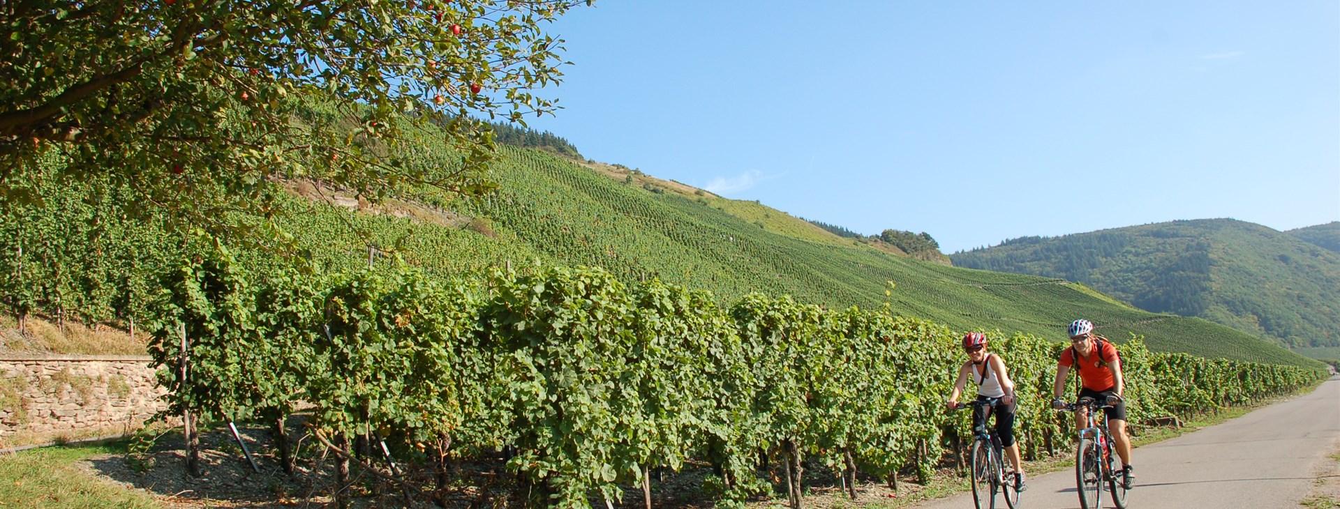 Autor: Tomáš Ochma Procházka