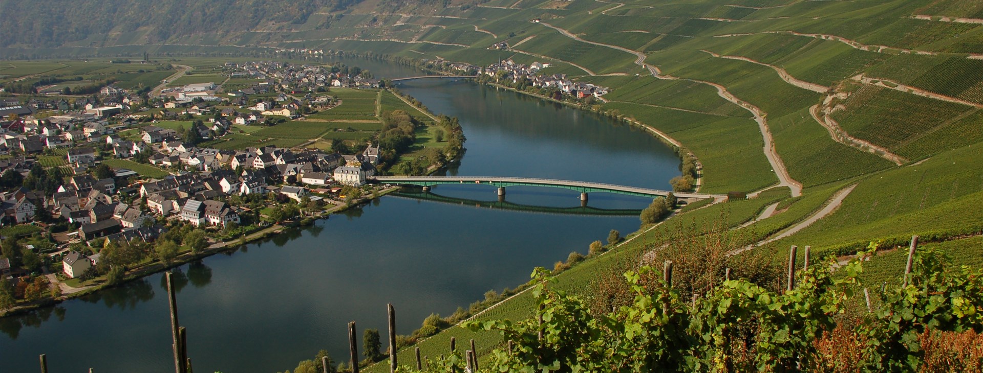 Autor: Tomáš Ochma Procházka