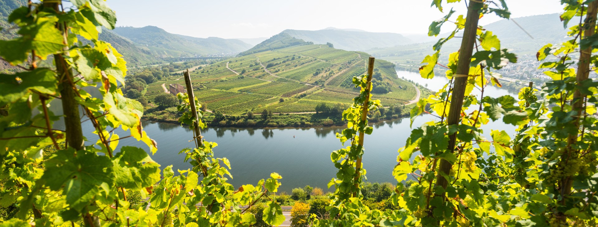 Autor: Picture Gallery of Mosellandtouristik