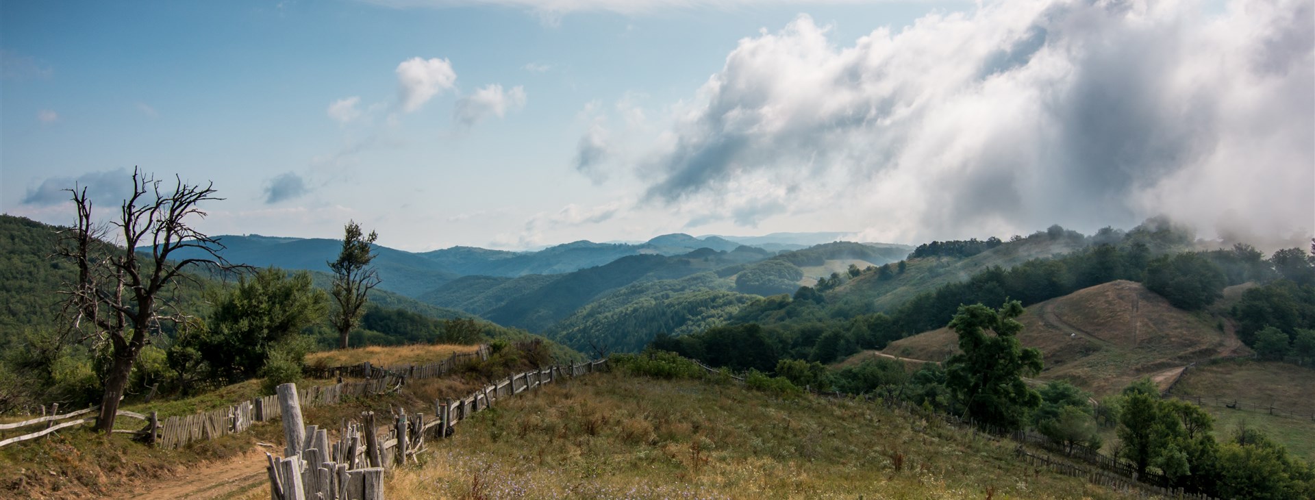 Rozmarné léto (s jógou)