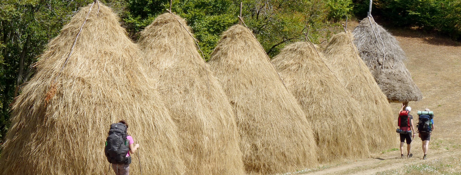 Cernei, Mehedinți a Banátské hory