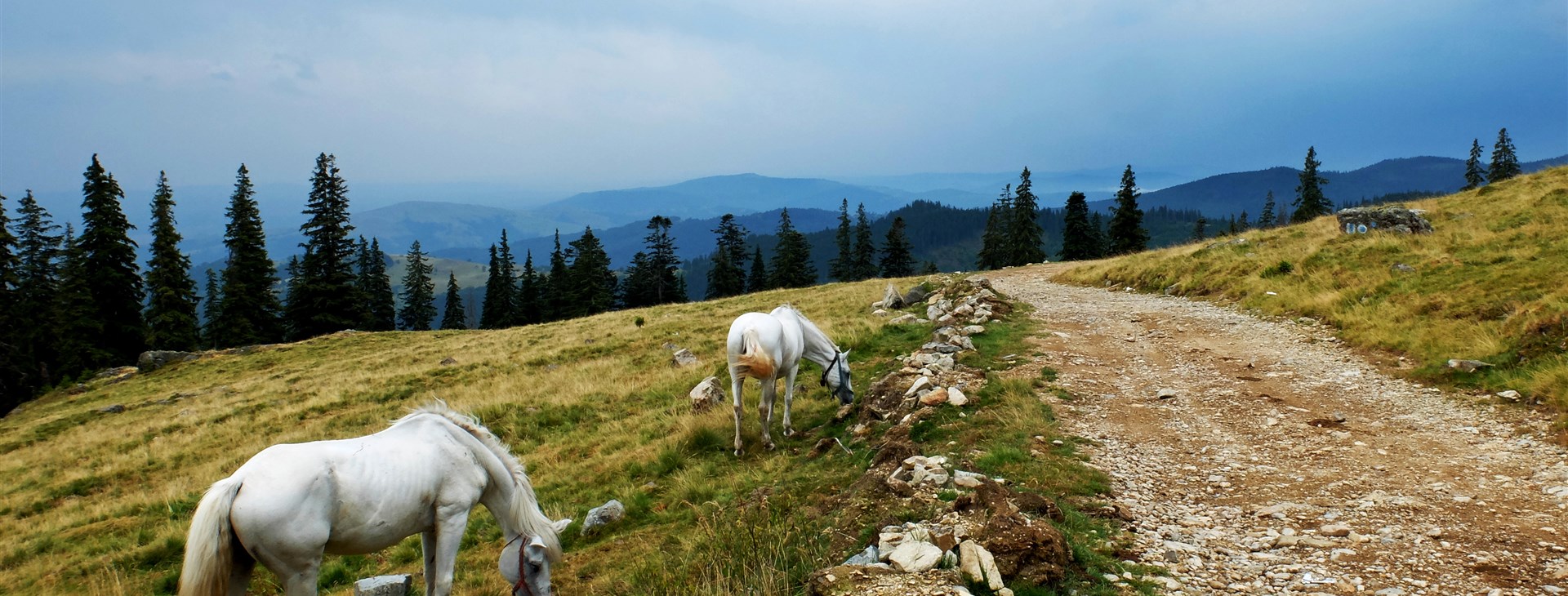 Apuseni, Bihor a Vlădeasa