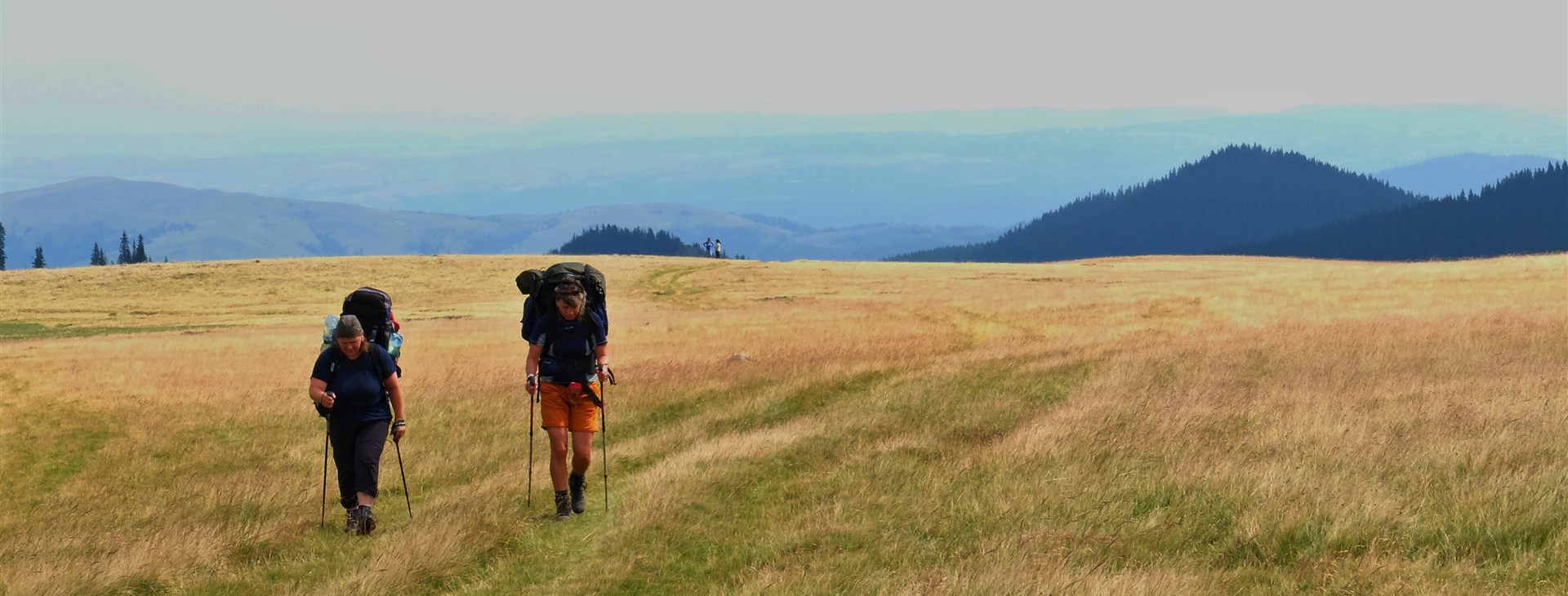 Apuseni, Bihor a Vlădeasa