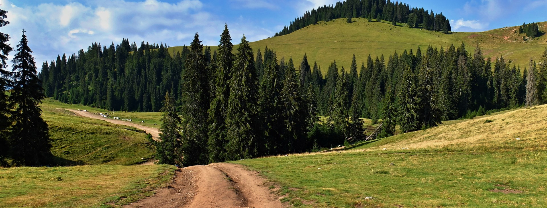 Apuseni, Bihor a Vlădeasa