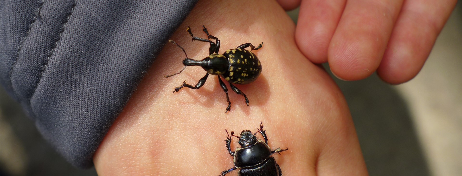 Podzimní zelená dovolená s příběhem v Bílých Karpatech