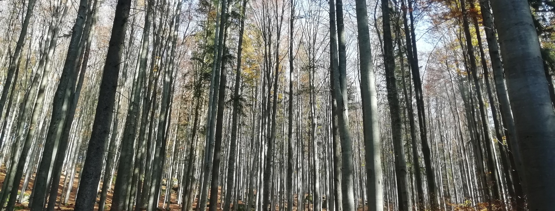 Novohradské hory na kole