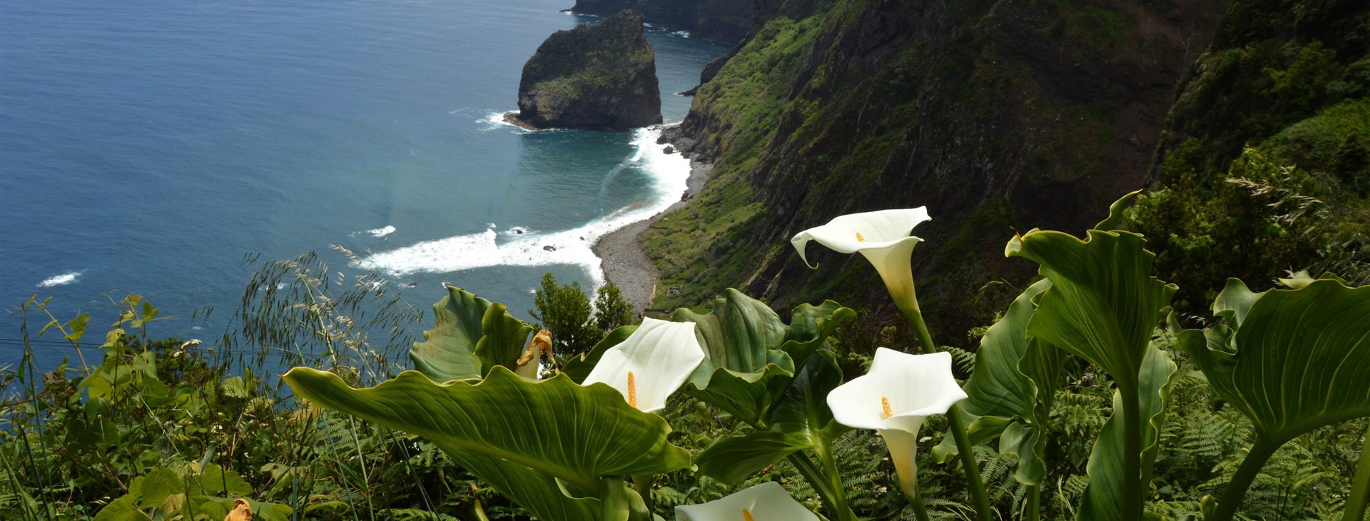 Autor: David Barták