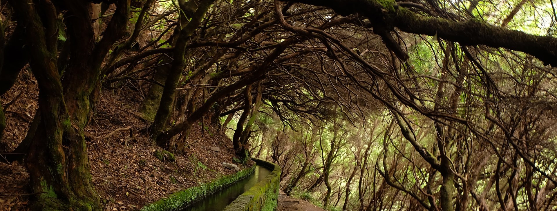 Autor: David Barták