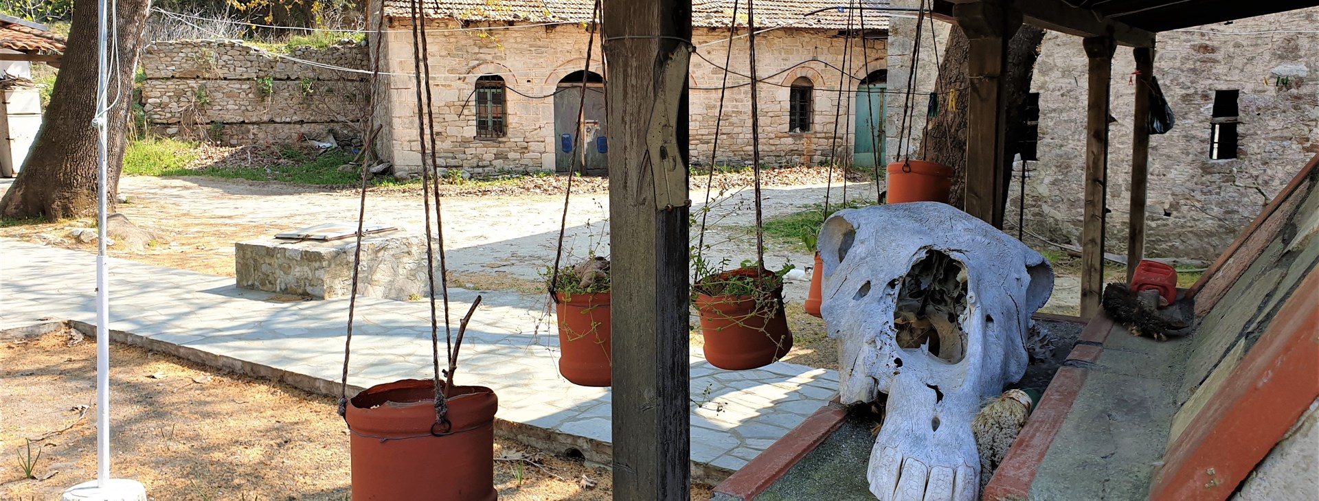 Pod bulharským sluncem