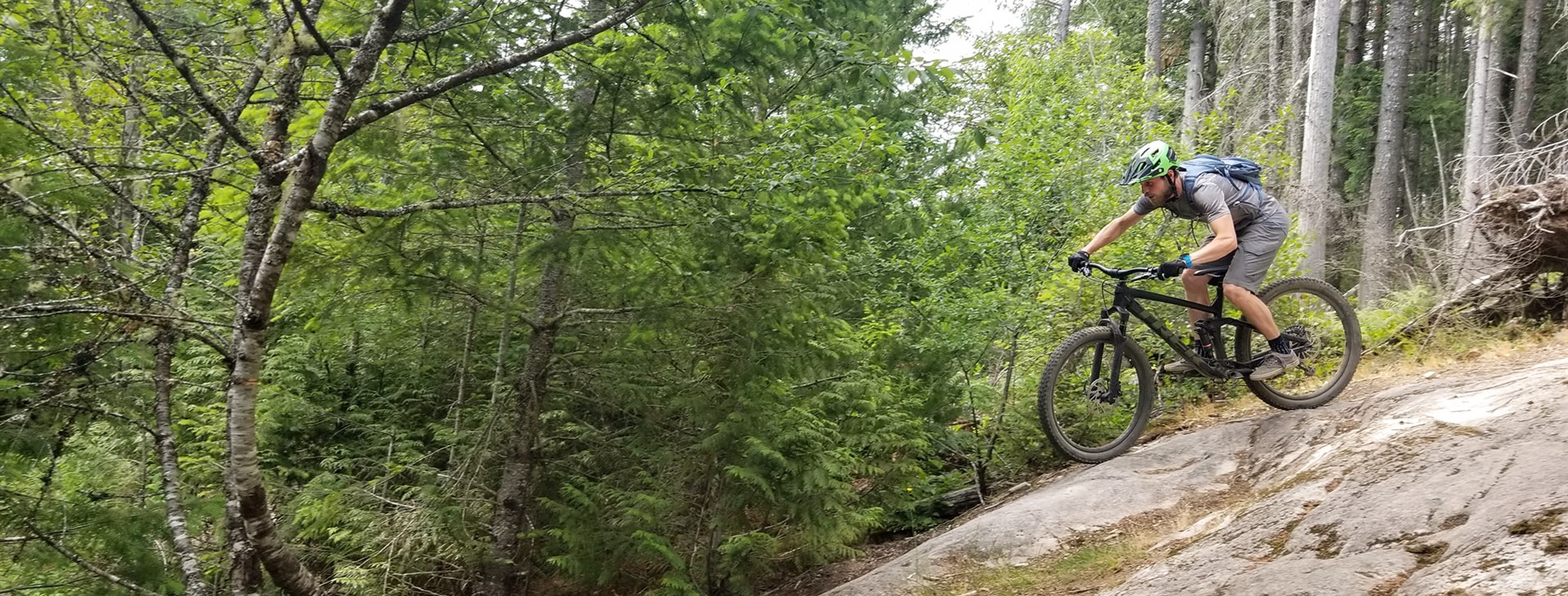 Autor: Vendula Řehová