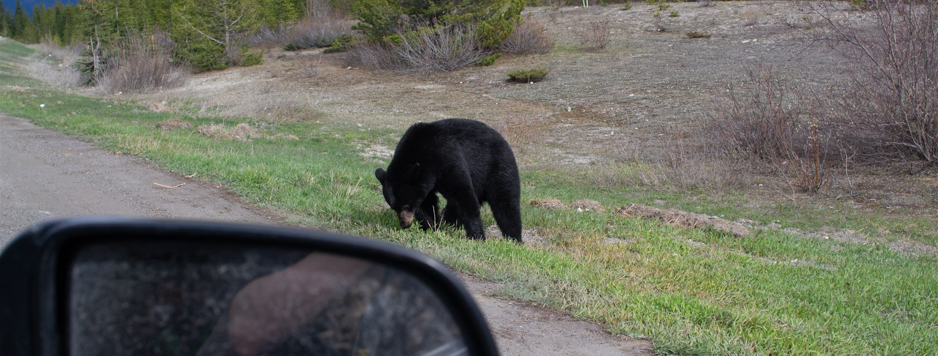 Autor: Vendula Řehová