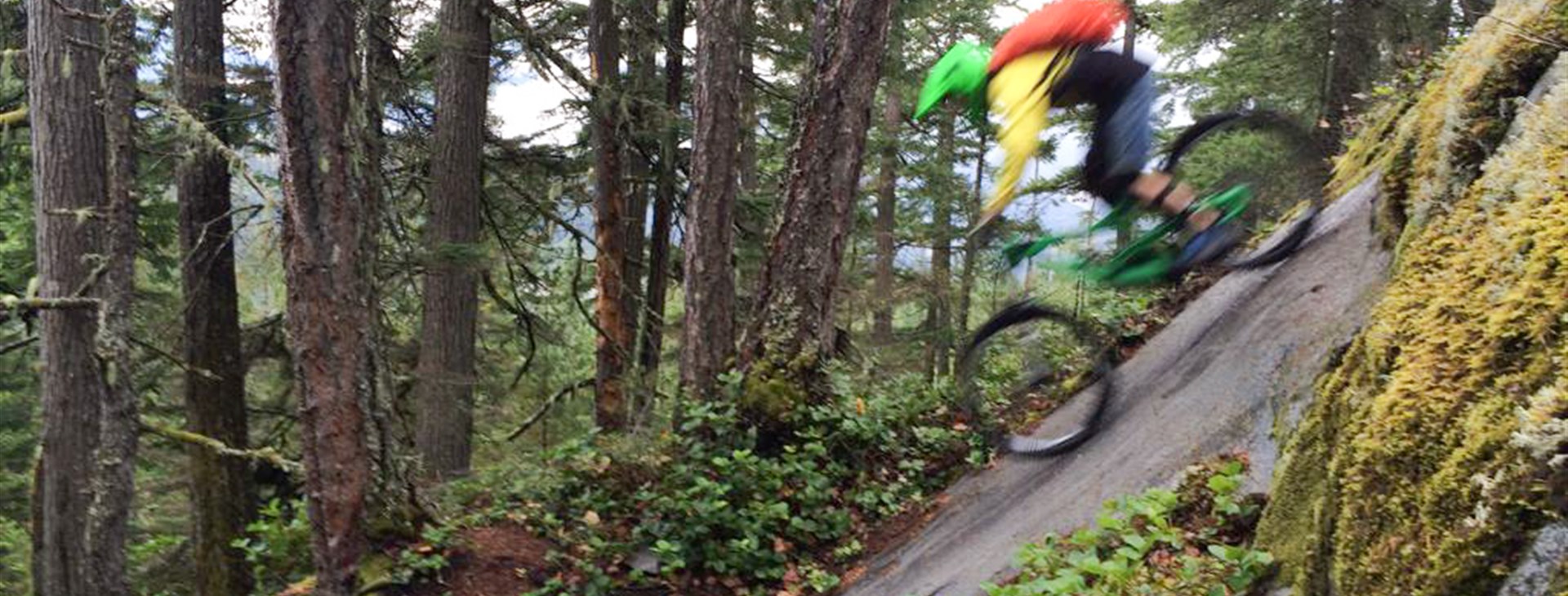 Autor: Vendula Řehová