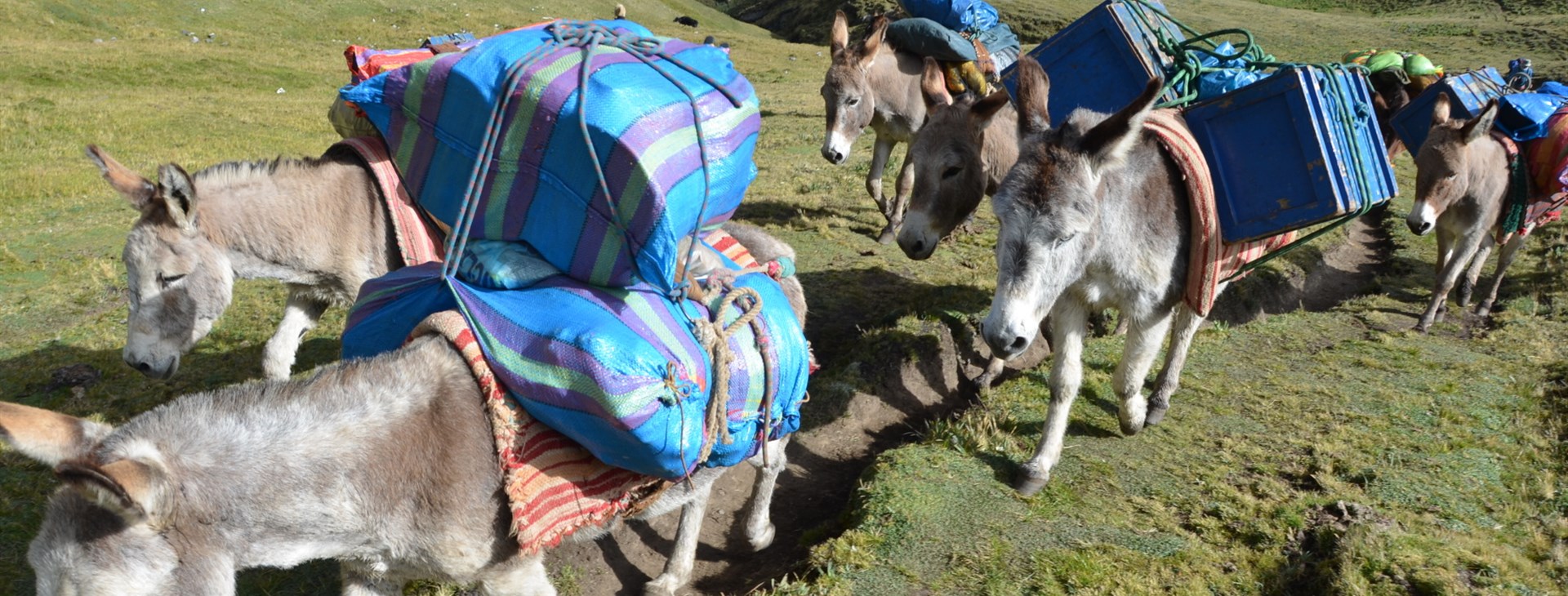 Peru - horský trek a Machu Picchu