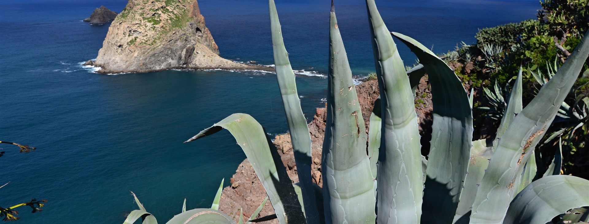 Tenerife - autor: Mára Jedlička