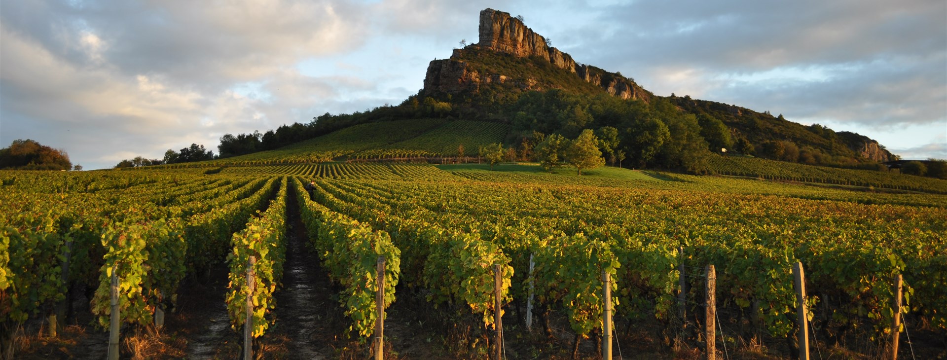 Cyklotoulky krajem Burgundska a Champagne