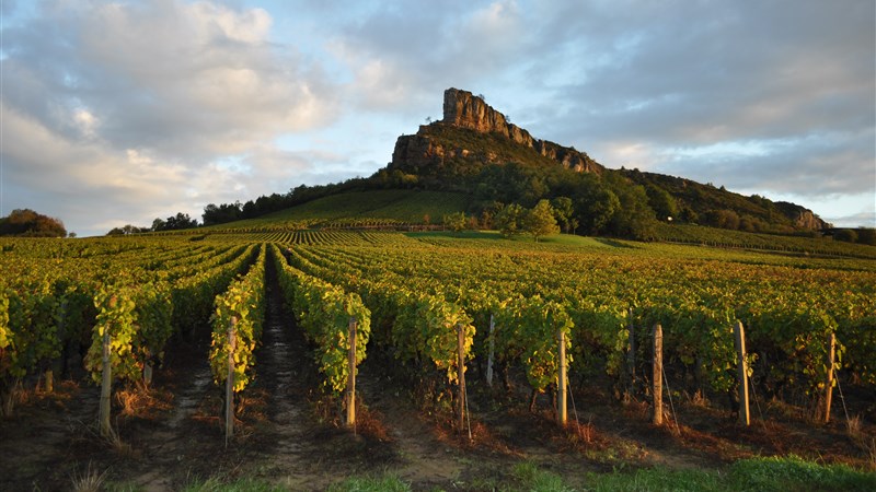 Cyklotoulky krajem Burgundska a Champagne