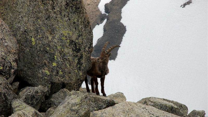 Švýcarský Engadin s dětmi