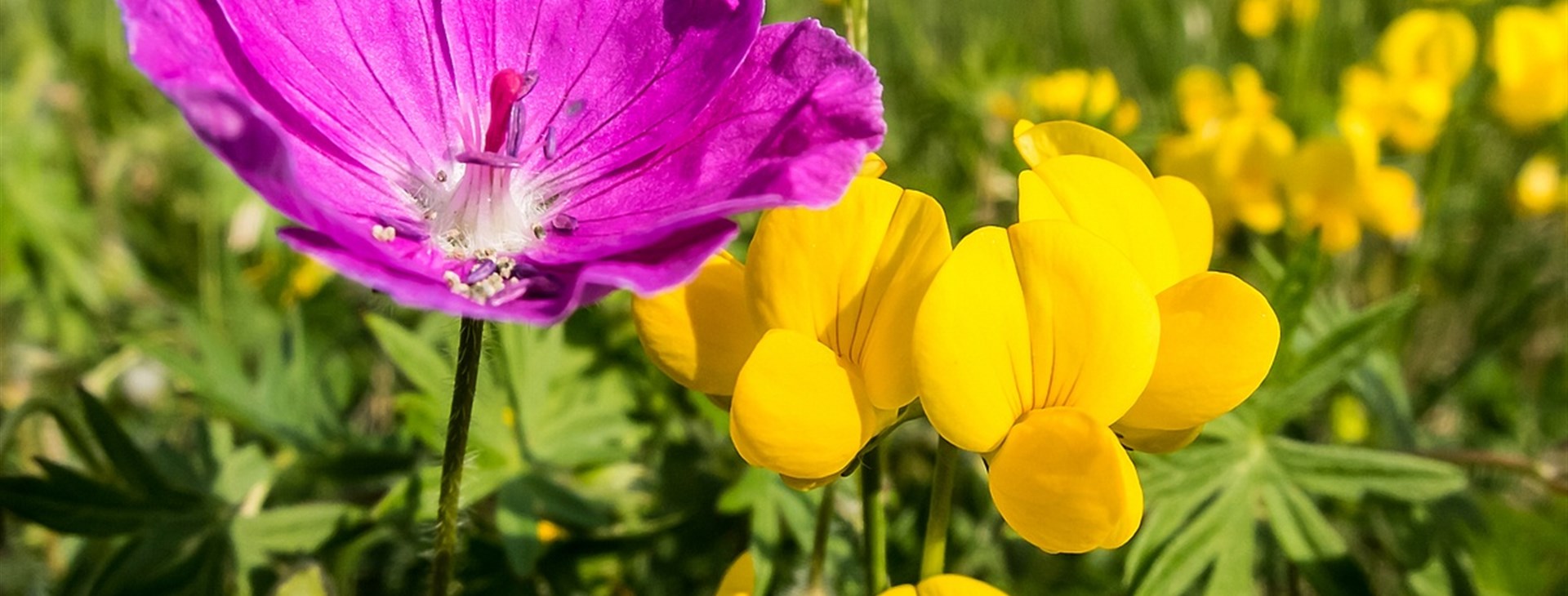 Cesta za štěstím k Lago di Garda