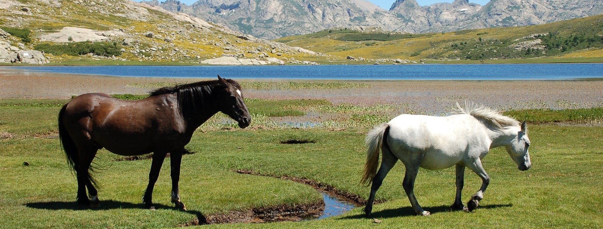 Autor: Tomáš Ochma Procházka