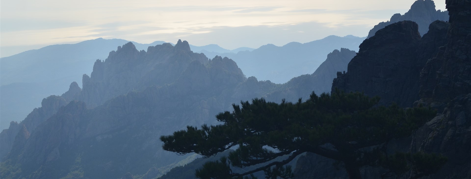 Autor: Dalibor Robi Mahel