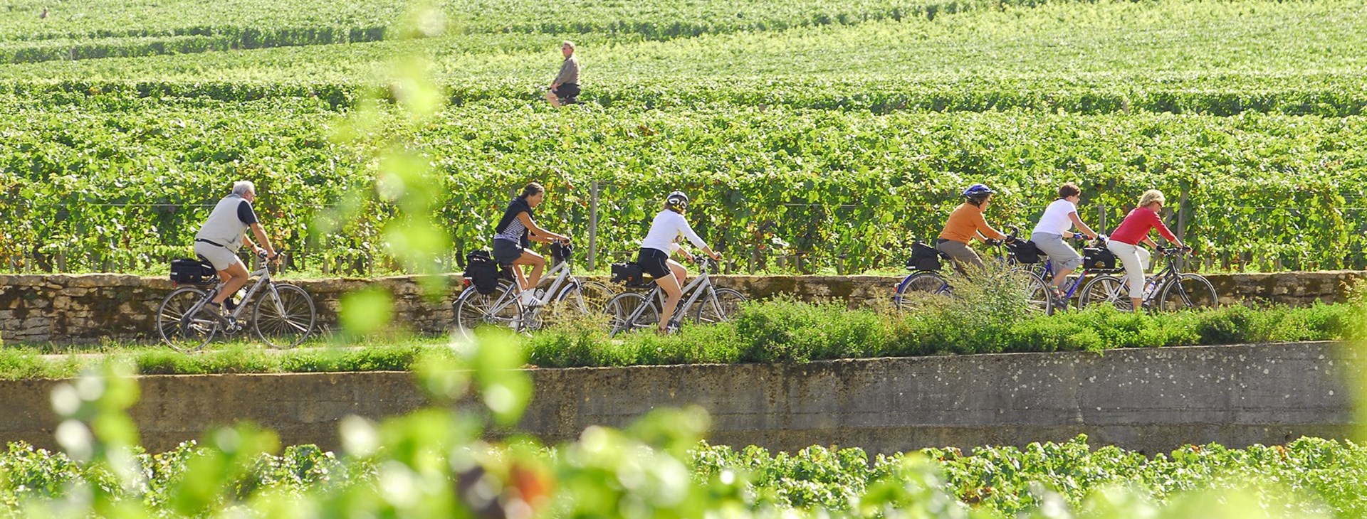 Cyklotoulky krajem Burgundska a Champagne