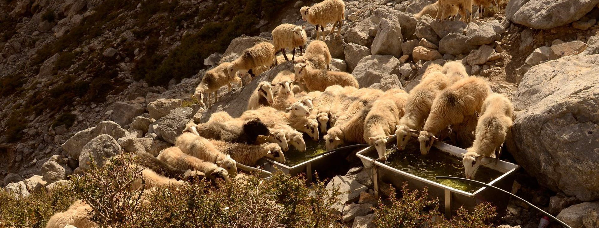 Hory Kréty - foto: Iva Mužíková