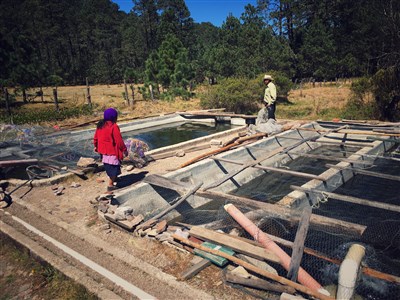 Náhorní Karabach i Severokyperská republika - neexistující státy a směry udržitelného turismu