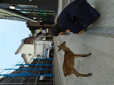 Japonsko - kde se mýty a tradice snoubí se supermodernostmi