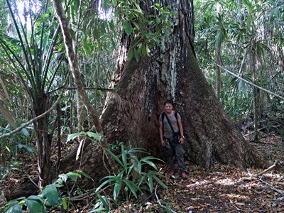 Mexico a Guatemala - svět starých indiánských kultur, tropických džunglí a hor