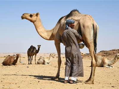 Tři roky v Saúdské Arábií - Jaká je ve skutečnostiI?