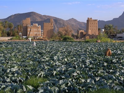 Tři roky v Saúdské Arábií - Jaká je ve skutečnostiI?