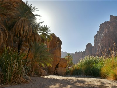 Tři roky v Saúdské Arábií - Jaká je ve skutečnostiI?