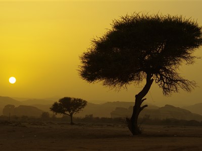 Tři roky v Saúdské Arábií - Jaká je ve skutečnostiI?