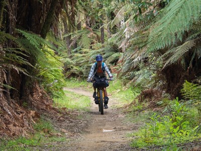 Bikepacking z Nového Zélandu až do ČR