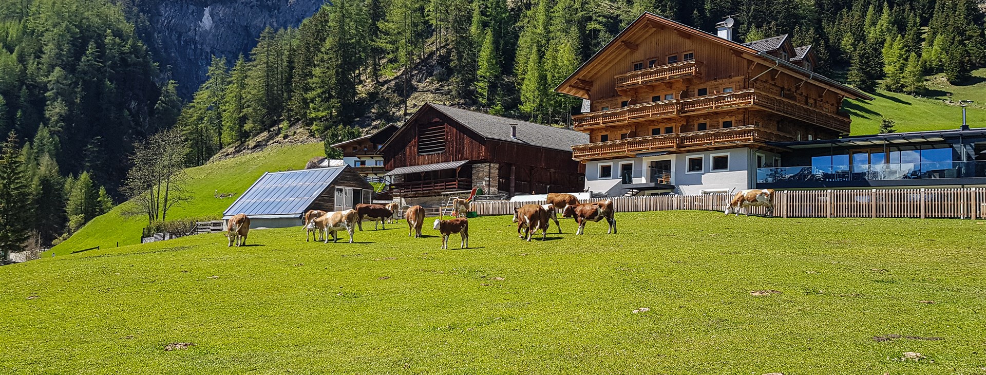 Foto: Martina Kučerová