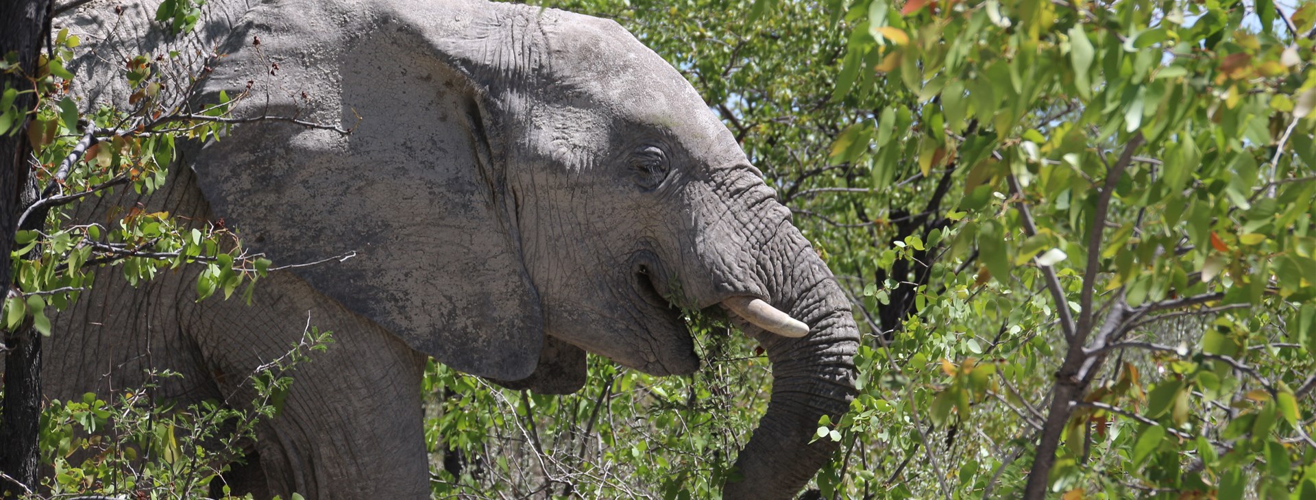 To nejlepší z Namibie