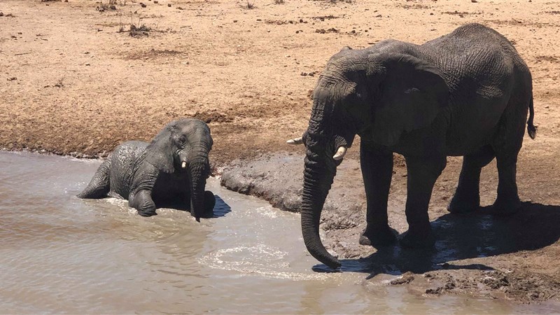 To nejlepší z Namibie