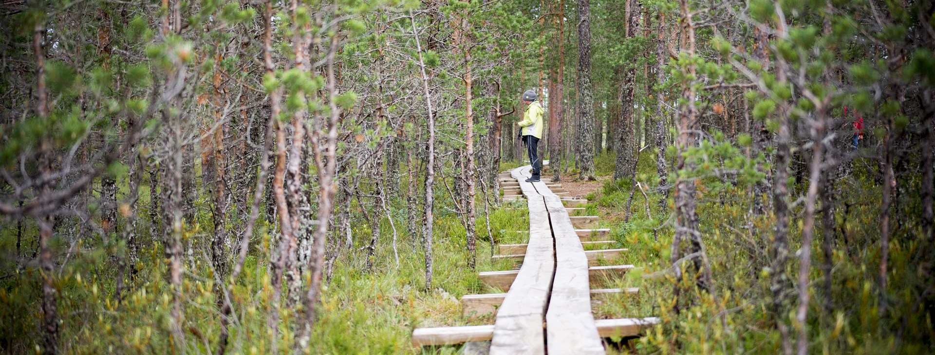 Estonsko - po zemi i po moři
