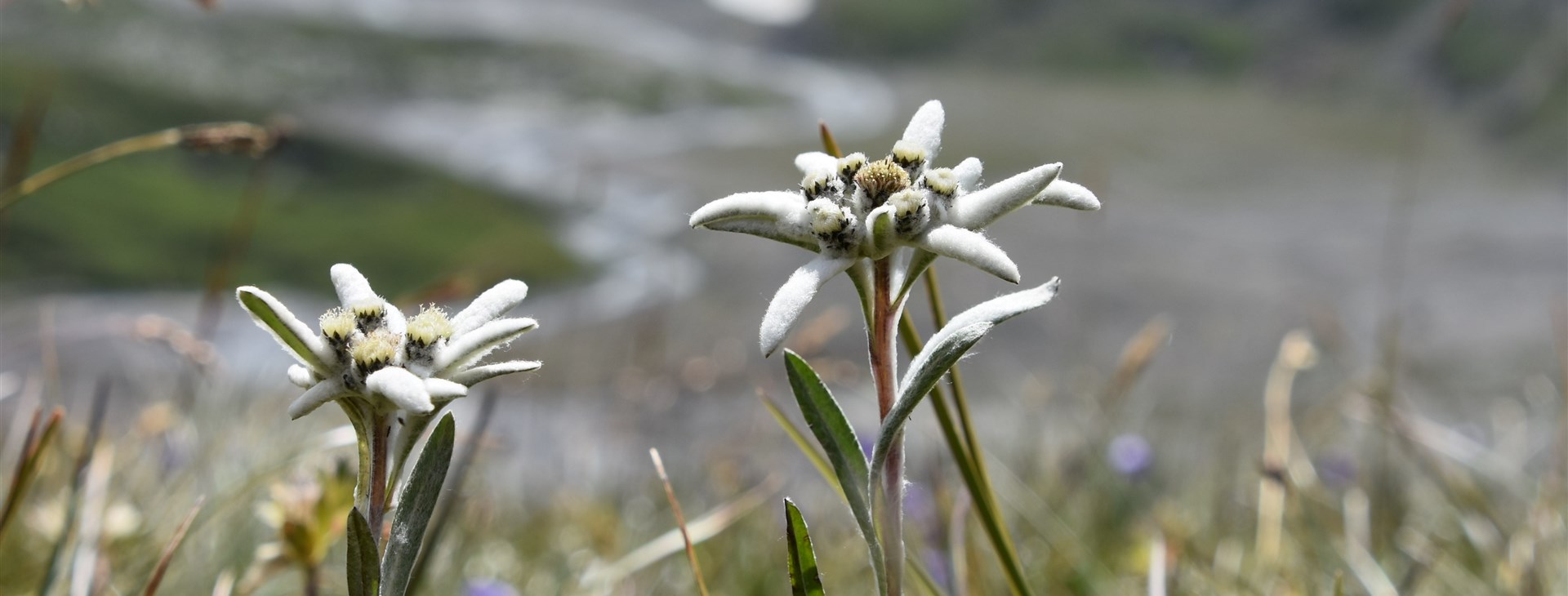 Švýcarsko - Walliské Alpy