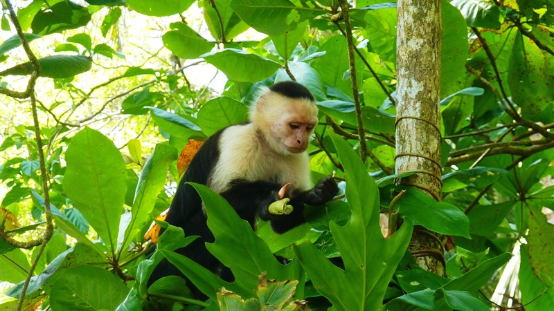 Kostarika a Panamský průplav
