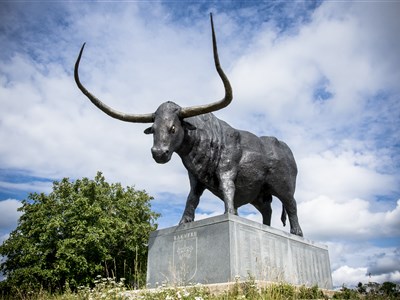 Estonsko a dobrodružná cesta kolem ostrova Saarema