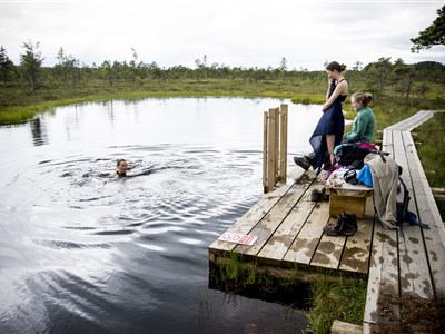 Estonsko a dobrodružná cesta kolem ostrova Saarema