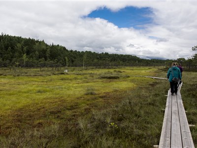 Estonsko a dobrodružná cesta kolem ostrova Saarema