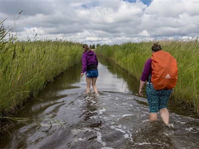 Estonsko a dobrodružná cesta kolem ostrova Saarema