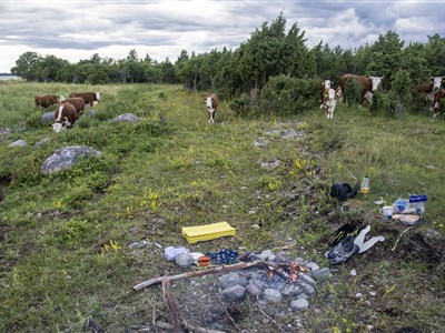 Estonsko a dobrodružná cesta kolem ostrova Saarema