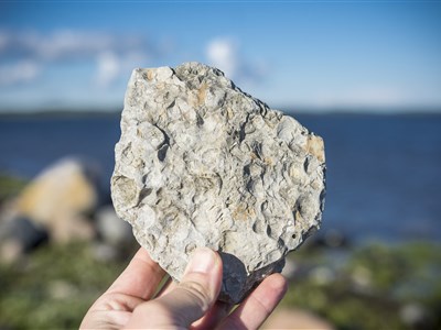 Estonsko a dobrodružná cesta kolem ostrova Saarema