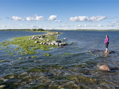 Estonsko a dobrodružná cesta kolem ostrova Saarema