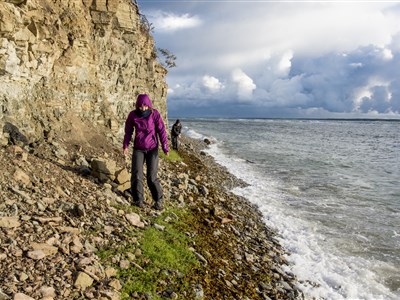 Estonsko a dobrodružná cesta kolem ostrova Saarema